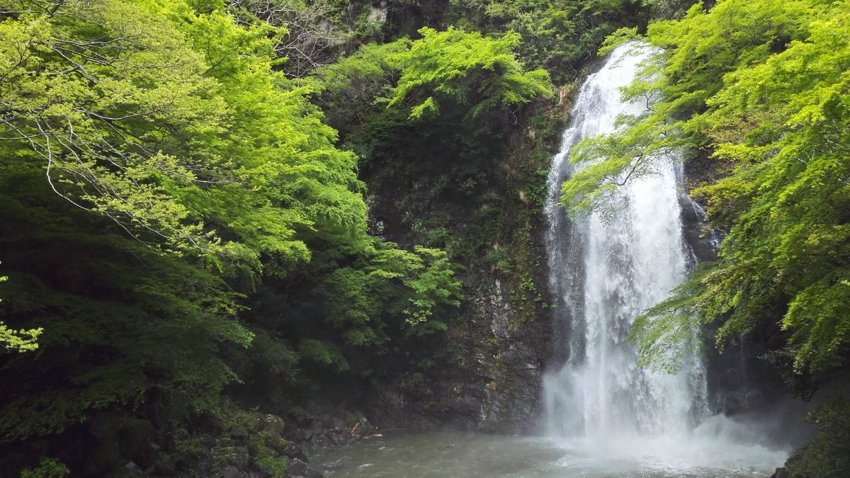 Minoh-Wasserfall